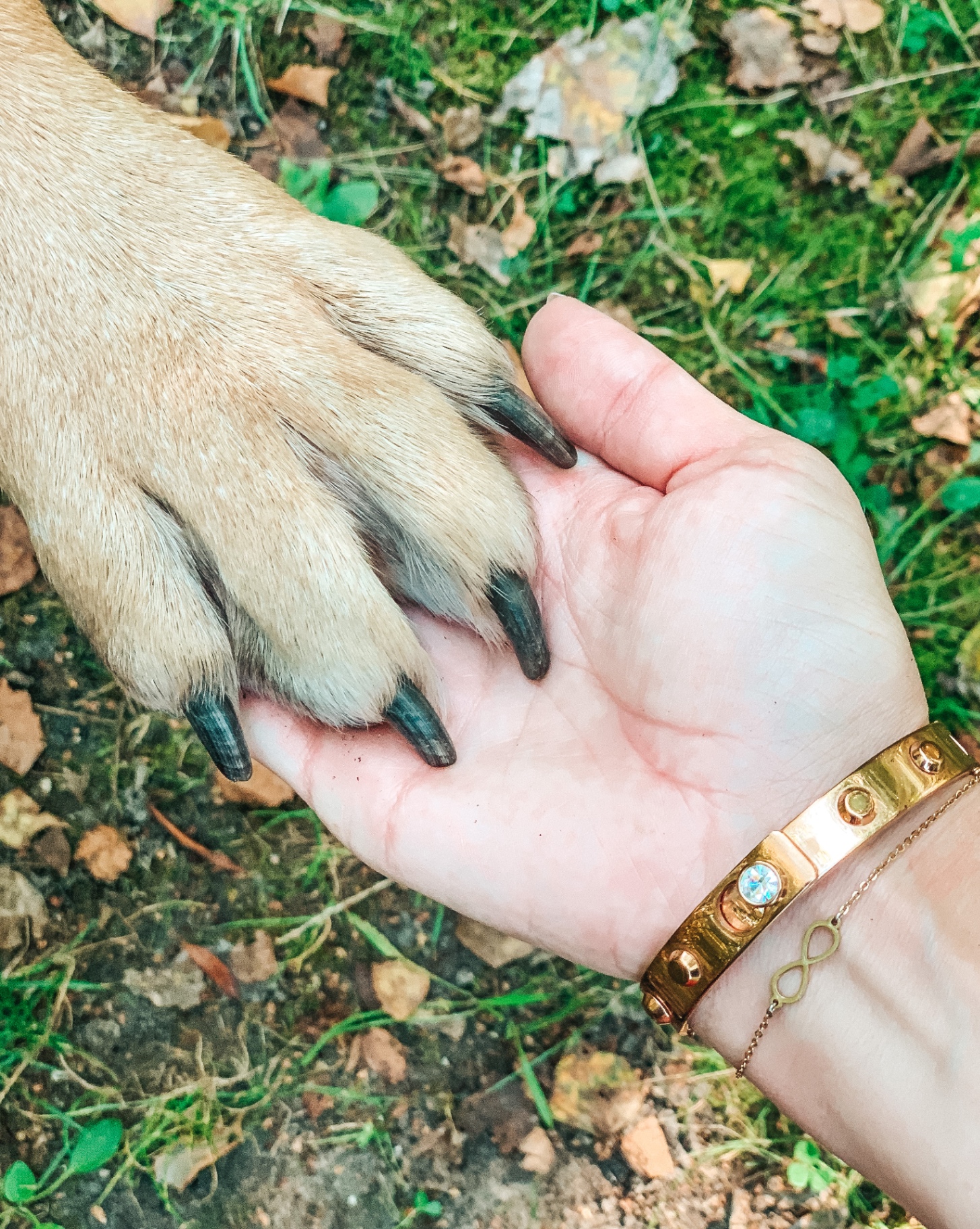 Samen groeien in het LUVAH-lidmaatschap